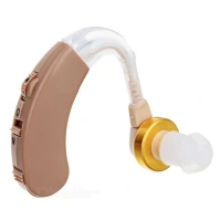 Digital Hearing Aid